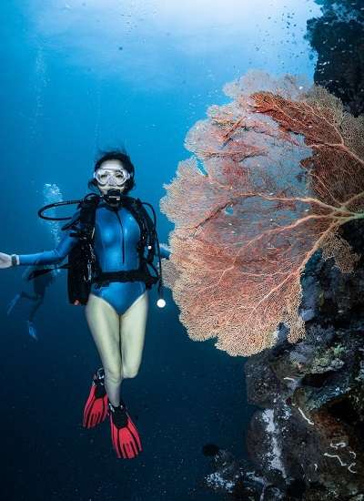 Great Barrier Reef