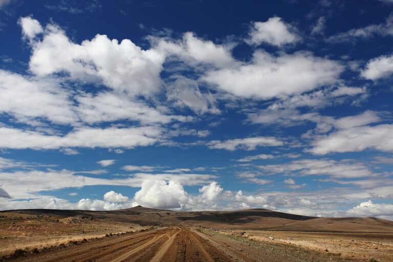 Hit the Road: Your Ultimate Guide to Planning the Perfect Road Trip