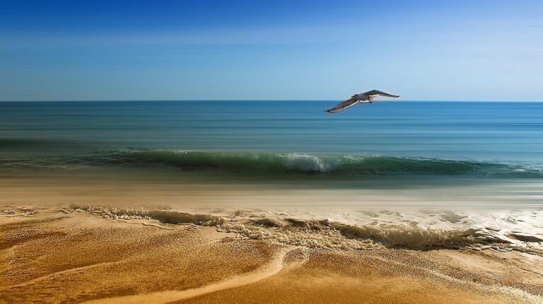 Sandy Shores and Sun-kissed Dreams: Top 10 Beach Destinations for Your Next Getaway