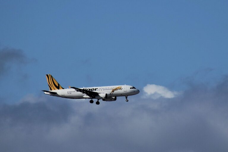 Sky-High Savings: Tips and Tricks for Scoring Cheap Airfare