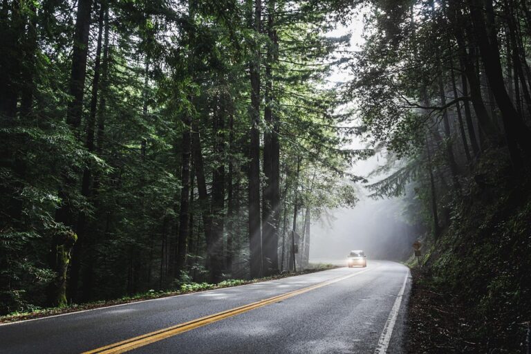 From Route to Refreshments: Crafting the Perfect Road Trip Itinerary