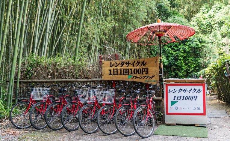Renting a Bike: The Ultimate Guide to Exploring Cities on Two Wheels