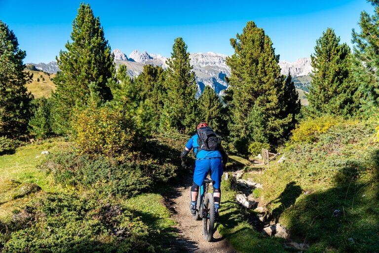Explore the Great Outdoors: Top Bike Tour Packages for Adventure Seekers