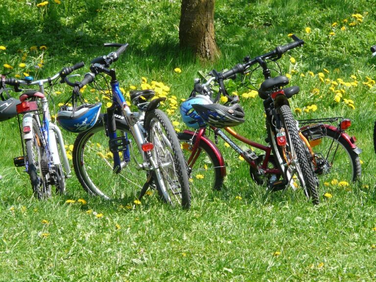 Explore Together: The Ultimate Guide to Family-Friendly Tour Packages