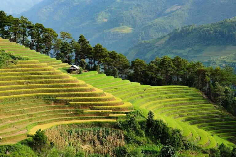 Beyond the Beach: The Rise of Adventure Eco-Tourism